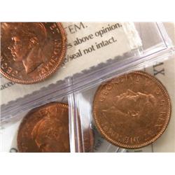 Canada Cent 1943 5 pcs ICCS MS-63 Red