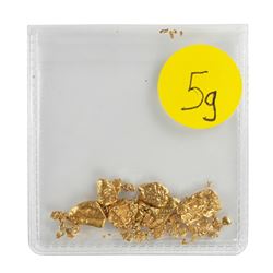 Lot of Gold Nuggets 5.0 Grams Gold Weight