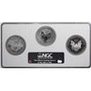 Image 2 : 2006 20th Anniversary (3) Coin American Silver Eagle Set NGC MS69/PF69