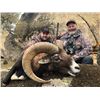 Image 2 : 5-day Spain Iberian Red Deer, Iberian Mouflon and European Fallow Deer Hunt for Two Hunters