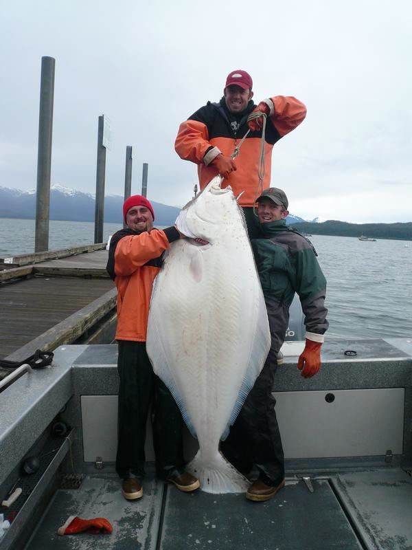 5 day Alaskan Halibut Salmon And Rockfish Trip For One Angler Safari 5-day-alaskan-halibut-salmon-and-rockfish-trip-for-one-angler-safari