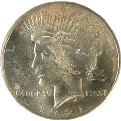 Peace Dollar 1921 SEGS MS-62