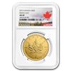Image 1 : 2013 Canada $20 1/2 oz Gold Maple Leaf MS-69 NGC