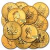 Image 1 : 1 oz Gold Canadian Maple Leaf (Abrasions)