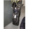 Image 1 : Black leather Golf bag with clubs