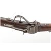 Image 5 : Sharps New Model 1863 Saddle Ring Carbine