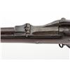 Image 3 : Indian Wars Springfield M1884 TD Infantry Rifle