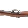 Image 7 : Indian Wars Springfield M1873 TD Infantry Rifle