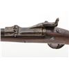 Image 4 : Springfield Model 1873 Carbine