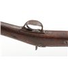 Image 6 : Springfield Model 1873 Carbine