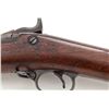 Image 3 : Springfield Model 1888 ''Ramrod Bayonet'' TD Rifle