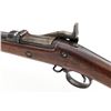 Image 4 : Springfield Model 1888 ''Ramrod Bayonet'' TD Rifle