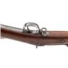 Image 5 : Springfield Model 1888 ''Ramrod Bayonet'' TD Rifle