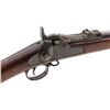 Image 6 : Springfield Model 1888 ''Ramrod Bayonet'' TD Rifle