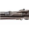 Image 5 : Springfield Model 1884 Trapdoor Rifle