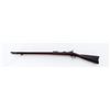 Image 2 : Springfield 1888 Ramrod Bayonet TD Rifle