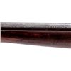 Image 5 : Winchester Model 56 Clip-Feed Sporting Rifle