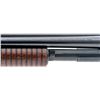 Image 5 : Winchester Model 12 Slide-Action Shotgun