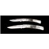 Image 1 : Lot of Two (2) Buck Knives