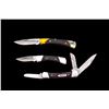 Image 1 : Lot of Three (3) Buck Folding Knives