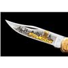 Image 4 : Ltd. Ed. Buck Model 110 Budweiser Knife
