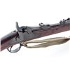 Image 3 : Indian Wars U.S. Springfield Model 1873 TD Rifle