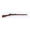 Image 1 : Indian Wars Springfield M1873 TD Cadet Rifle
