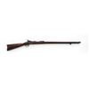 Image 1 : Springfield 1888 ''Ramrod Bayonet'' TD Rifle