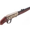 Image 4 : Lot of 2 Project Long Guns-Rem. & Higgins