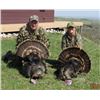 Image 3 : TURKEY HUNT FOR TWO HUNTERS | Triple T Hunting Adventures | Lynch, Nebraska