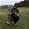 Image 4 : TURKEY HUNT FOR TWO HUNTERS | Triple T Hunting Adventures | Lynch, Nebraska
