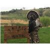 Image 5 : TURKEY HUNT FOR TWO HUNTERS | Triple T Hunting Adventures | Lynch, Nebraska