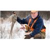 Image 1 : PHEASANT HUNT WITH OVERNIGHT STAY FOR TWO | Meemo’s Farm, Evart Michigan