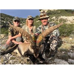 Spain | Five Days for one hunter (and one Non-hunter or $2,000 trophy Fee Credit)