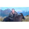 Image 1 : DEERBROOKE SAFARIS - NEW ZEALAND | Bull Tahr for One Hunter and One Non-hunter