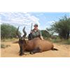 Image 1 : NAMIBIA TEN DAYS ONE HUNTER AND ONE NON-HUNTER Eland, Oryx, Hartebeest and Warthog!