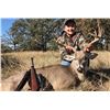 Image 3 : LAZY CK RANCH HUNT TEXAS | Whitetail Deer and Wild Boar