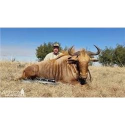 MARUPA SAFARIS - SOUTH AFRICA | 2 Hunter and 2 Non-hunters 10 Days $3,000 Trophy Fee Credit