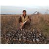 Image 4 : ROMANIA HUNTING OUTFITTERS  HIGH VOLUME EUROPEAN QUAIL HUNTING | Three Hunters and Three Non-hunters