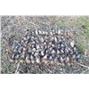 Image 6 : ROMANIA HUNTING OUTFITTERS  HIGH VOLUME EUROPEAN QUAIL HUNTING | Three Hunters and Three Non-hunters