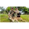 Image 4 : AXIS DEER, BLACKBUCK ANTELOPE, SIKA DEER or EXOTIC SHEEP | Calhoun Ranch - Wimberley, TX