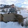 Image 1 : COW ELK HUNT IN UTAH | Parent and Child | Porcupine Adventures