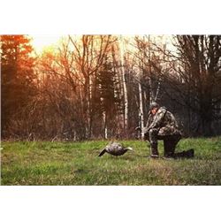 TURKEY HUNT IN NORTHERN MICHIGAN | GUIDED BY JADA JOHNSON HOST OF BIGBOYS TV