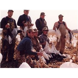 SNOW GOOSE HUNT - MARYSVILLE, MO | PRAIRIE WINGS OUTFITTERS