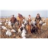 Image 5 : SNOW GOOSE HUNT - MARYSVILLE, MO | PRAIRIE WINGS OUTFITTERS