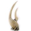 Image 2 : 'Wendimoor' unicorn horn prop from Dirk Gently's Holistic Detective Agency.