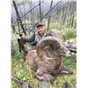 Image 8 : 15 Day Rocky Mountain Bighorn Sheep Alberta Horseback Hunt in 2021 with Savage Encounters