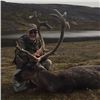 Image 8 : Canadian Central Barren Ground Caribou for 1 in 2020 or 2021 with Canadian Wilderness Outfitters