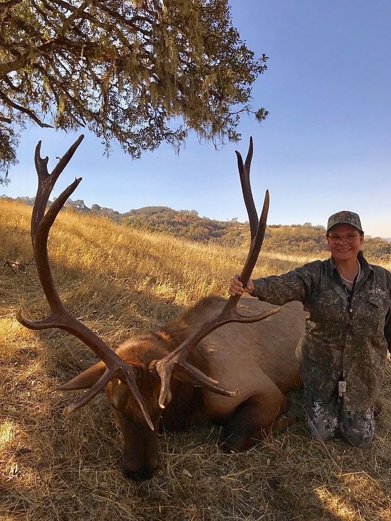 Elk Ridge Ore Oregon Roosevelt Elk Hunt for 1 with Eden Ridge Outfitting