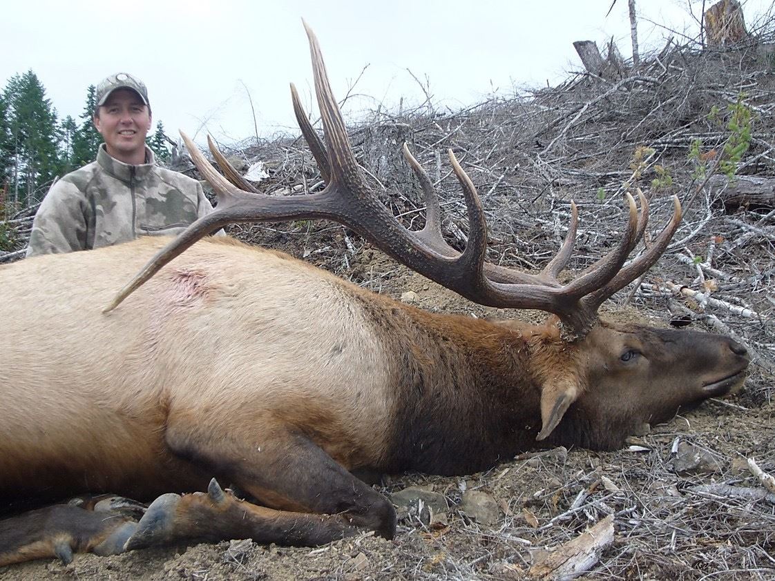 Elk Ridge Ore Oregon Roosevelt Elk Hunt for 1 with Eden Ridge Outfitting